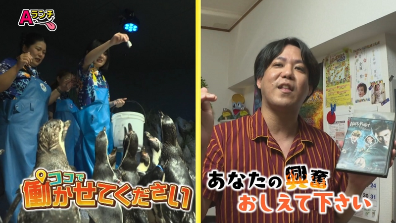 Aランチ★5月31日放送回