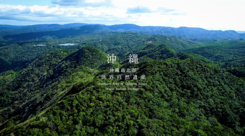 やんばる3村（国頭村・大宜味村・東村）